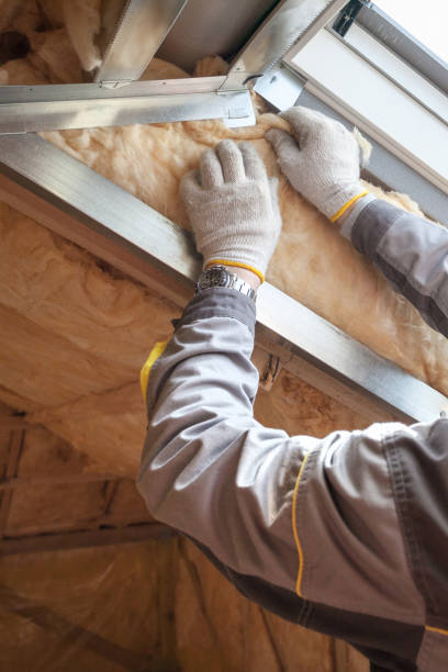 Best Commercial Insulation Services  in Warsaw, IL